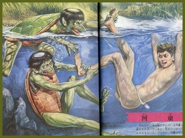 tính cách của kappa